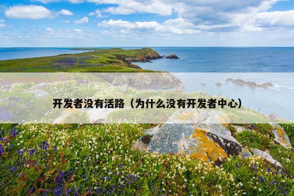 开发者没有活路（为什么没有开发者中心）