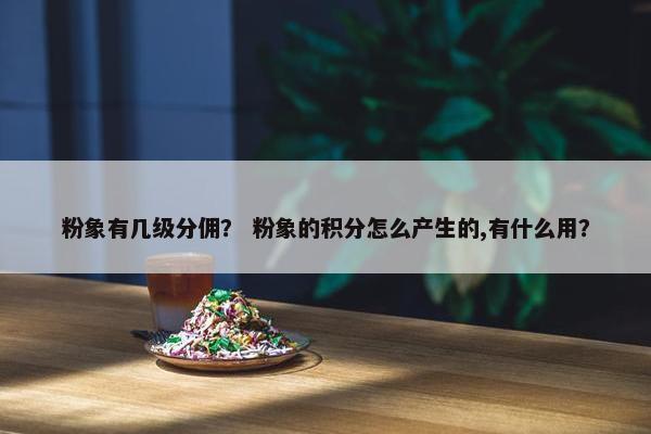 粉象有几级分佣？ 粉象的积分怎么产生的,有什么用？