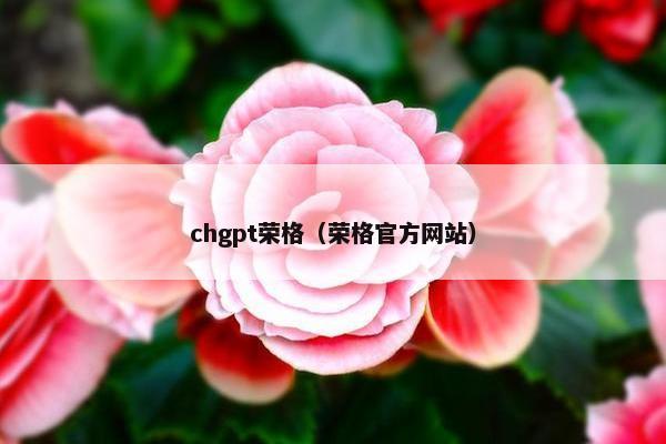 chgpt荣格（荣格官方网站）