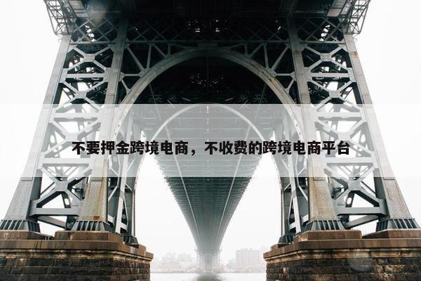 不要押金跨境电商，不收费的跨境电商平台