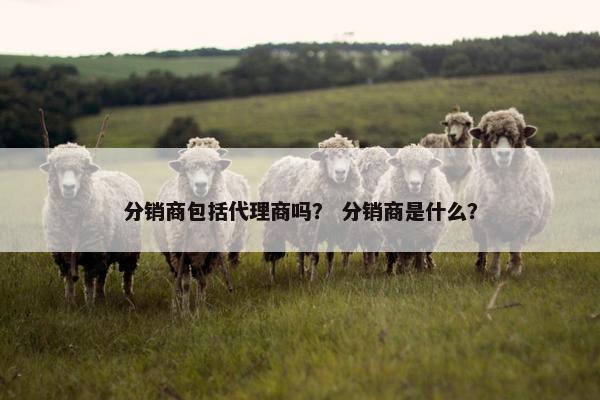 分销商包括代理商吗？ 分销商是什么？