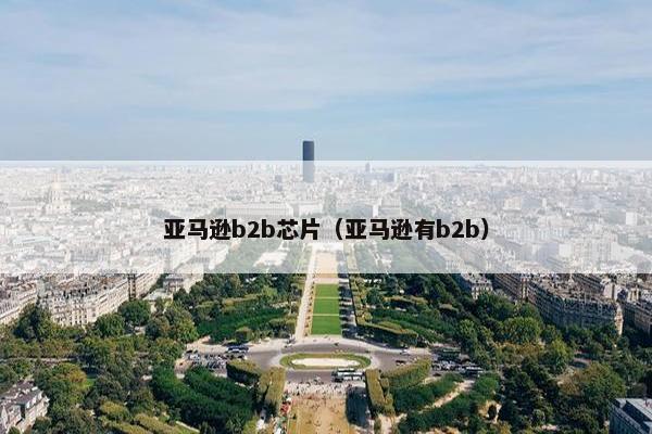 亚马逊b2b芯片（亚马逊有b2b）