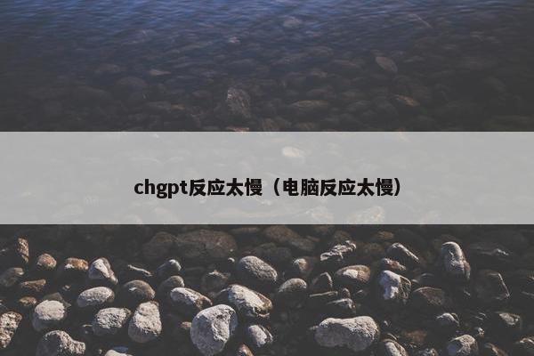 chgpt反应太慢（电脑反应太慢）
