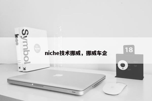 niche技术挪威，挪威车企