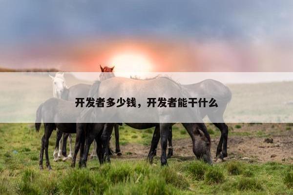 开发者多少钱，开发者能干什么