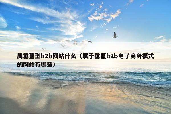 属垂直型b2b网站什么（属于垂直b2b电子商务模式的网站有哪些）