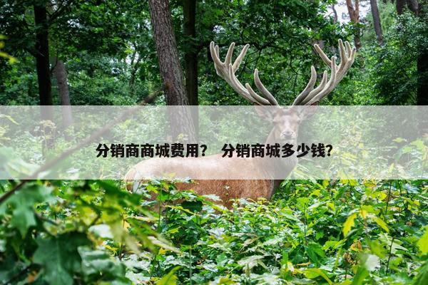 分销商商城费用？ 分销商城多少钱？