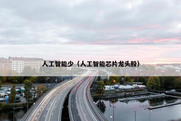 人工智能少（人工智能芯片龙头股）