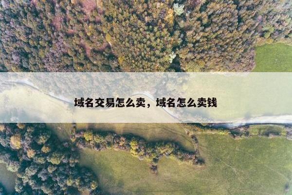域名交易怎么卖，域名怎么卖钱