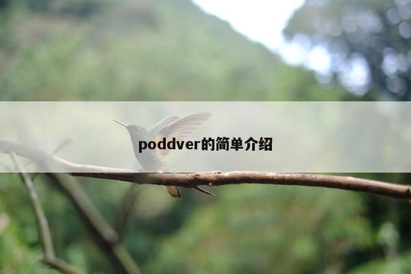 poddver的简单介绍