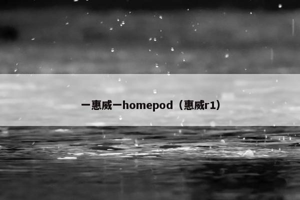 一惠威一homepod（惠威r1）