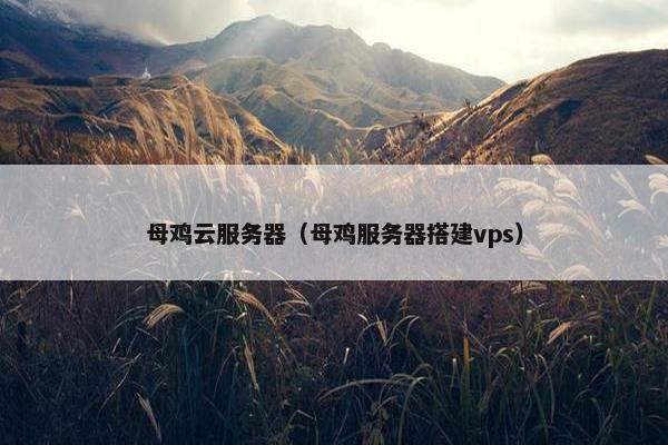 母鸡云服务器（母鸡服务器搭建vps）