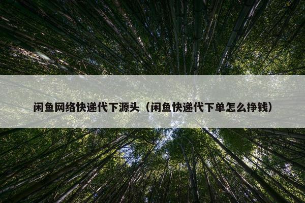 闲鱼网络快递代下源头（闲鱼快递代下单怎么挣钱）