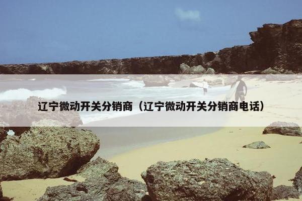 辽宁微动开关分销商（辽宁微动开关分销商电话）