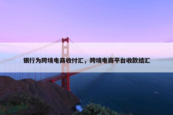 银行为跨境电商收付汇，跨境电商平台收款结汇