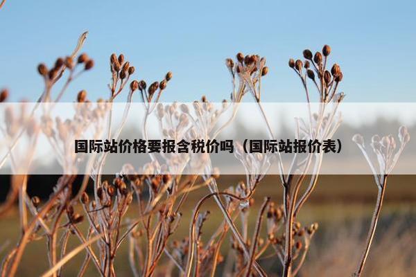 国际站价格要报含税价吗（国际站报价表）