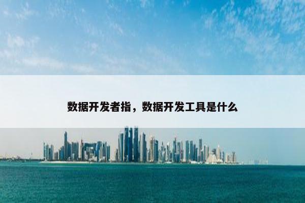 数据开发者指，数据开发工具是什么