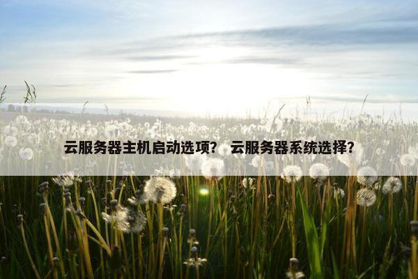云服务器主机启动选项？ 云服务器系统选择？