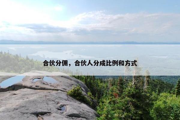 合伙分佣，合伙人分成比例和方式