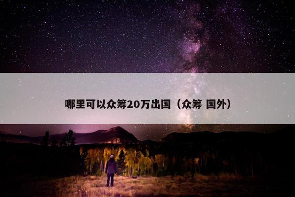 哪里可以众筹20万出国（众筹 国外）