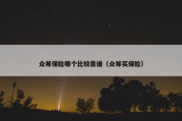 众筹保险哪个比较靠谱（众筹买保险）