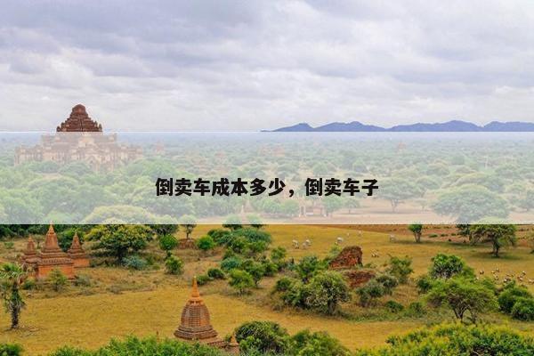 倒卖车成本多少，倒卖车子