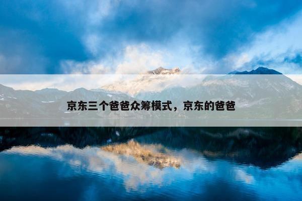 京东三个爸爸众筹模式，京东的爸爸