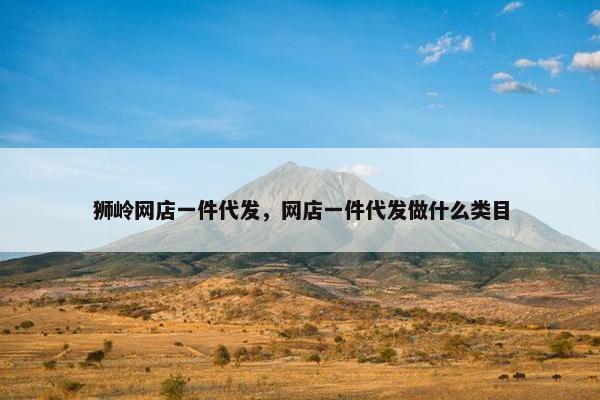 狮岭网店一件代发，网店一件代发做什么类目