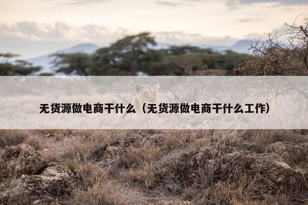 无货源做电商干什么（无货源做电商干什么工作）