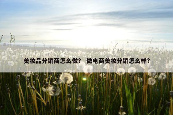 美妆品分销商怎么做？ 做电商美妆分销怎么样？