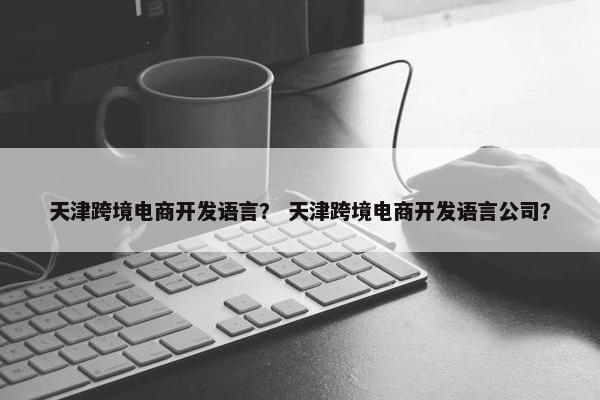 天津跨境电商开发语言？ 天津跨境电商开发语言公司？
