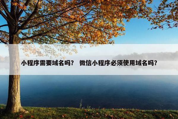 小程序需要域名吗？ 微信小程序必须使用域名吗？