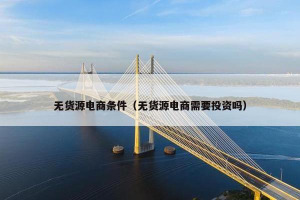 无货源电商条件（无货源电商需要投资吗）