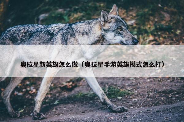 奥拉星新英雄怎么做（奥拉星手游英雄模式怎么打）