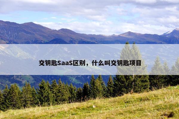 交钥匙SaaS区别，什么叫交钥匙项目