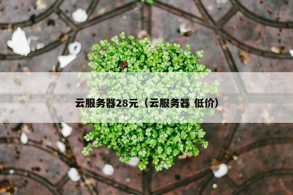 云服务器28元（云服务器 低价）