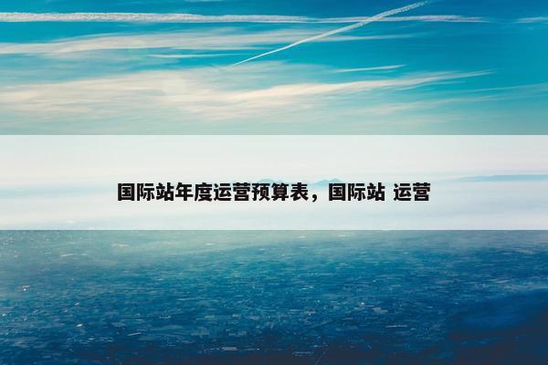 国际站年度运营预算表，国际站 运营