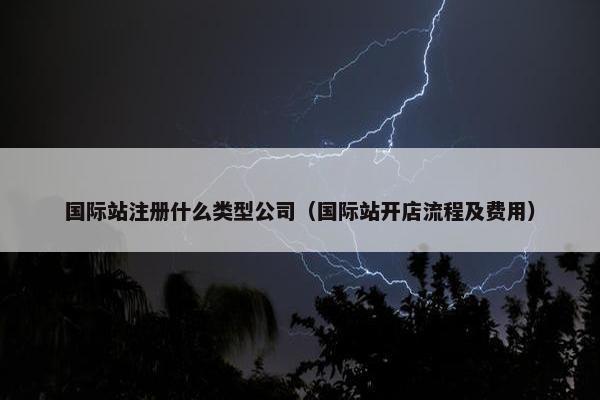 国际站注册什么类型公司（国际站开店流程及费用）
