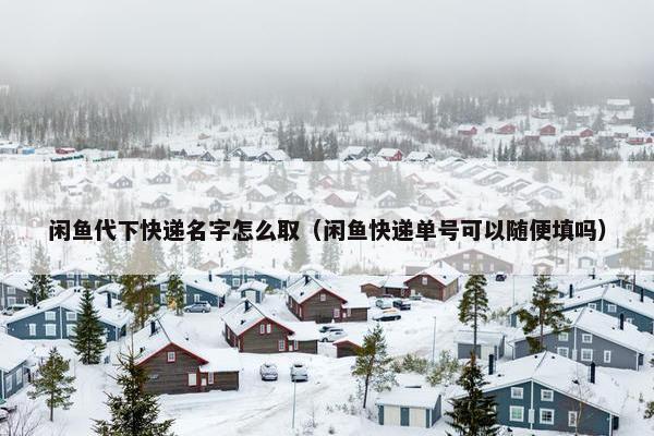 闲鱼代下快递名字怎么取（闲鱼快递单号可以随便填吗）