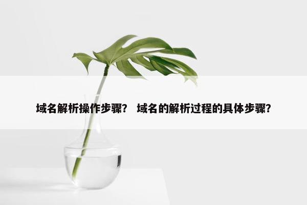 域名解析操作步骤？ 域名的解析过程的具体步骤？
