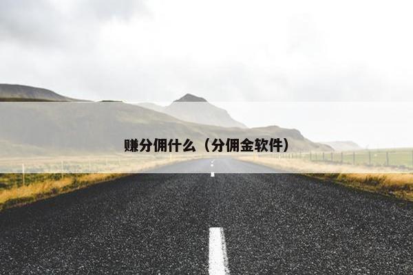 赚分佣什么（分佣金软件）