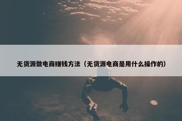 无货源做电商赚钱方法（无货源电商是用什么操作的）