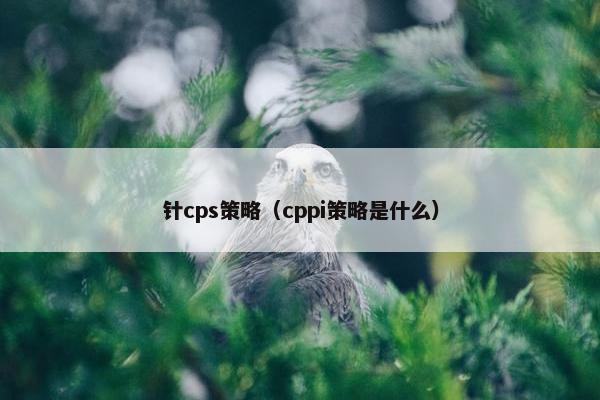 针cps策略（cppi策略是什么）