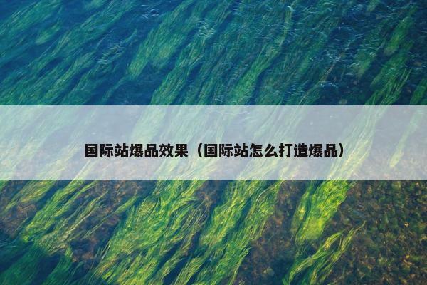 国际站爆品效果（国际站怎么打造爆品）