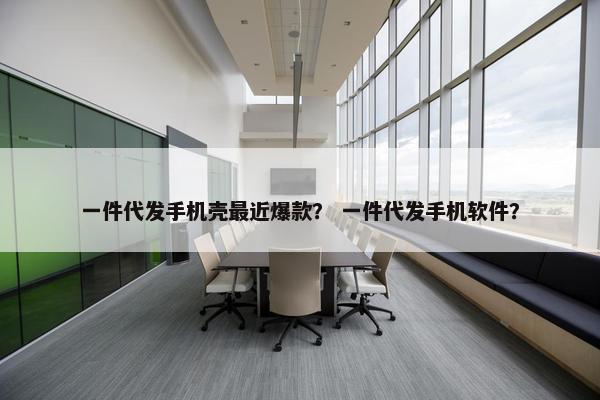一件代发手机壳最近爆款？ 一件代发手机软件？