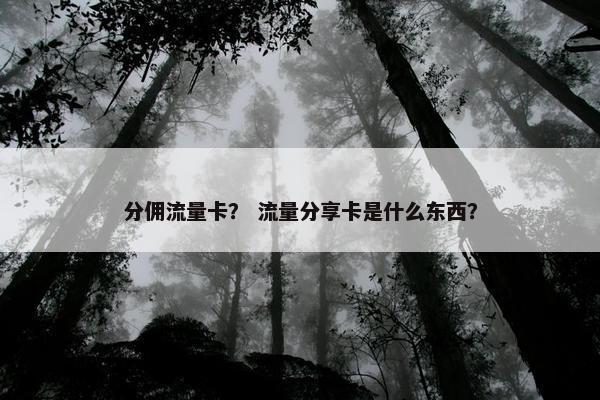 分佣流量卡？ 流量分享卡是什么东西？