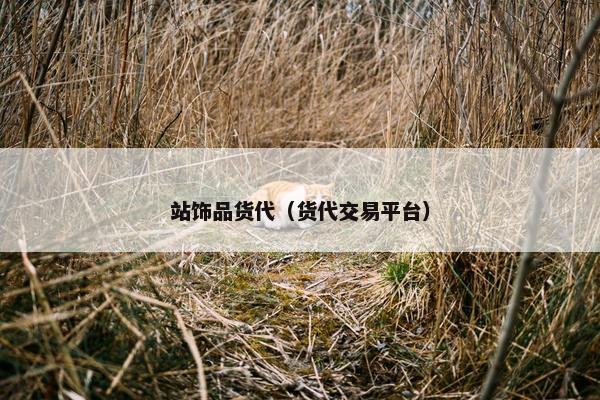 站饰品货代（货代交易平台）