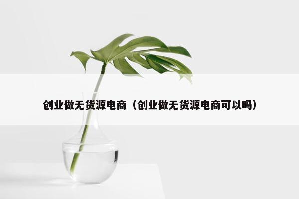 创业做无货源电商（创业做无货源电商可以吗）