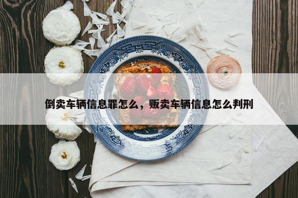 倒卖车辆信息罪怎么，贩卖车辆信息怎么判刑