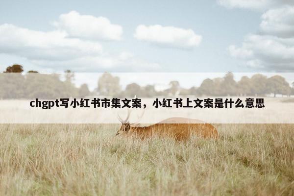 chgpt写小红书市集文案，小红书上文案是什么意思